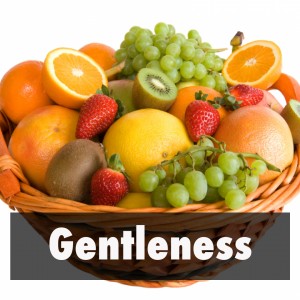 gentleness